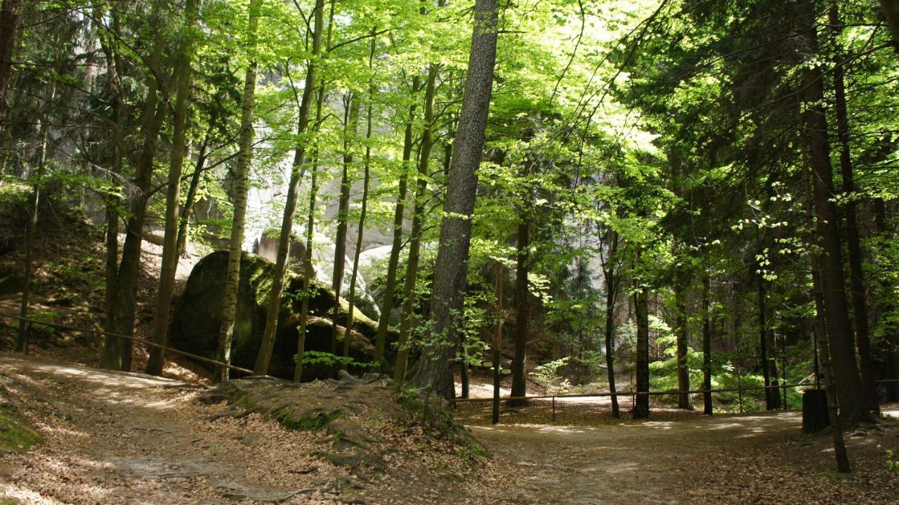 Chełmsko Śląskie Zadrna Rezydencjaアパートホテル エクステリア 写真