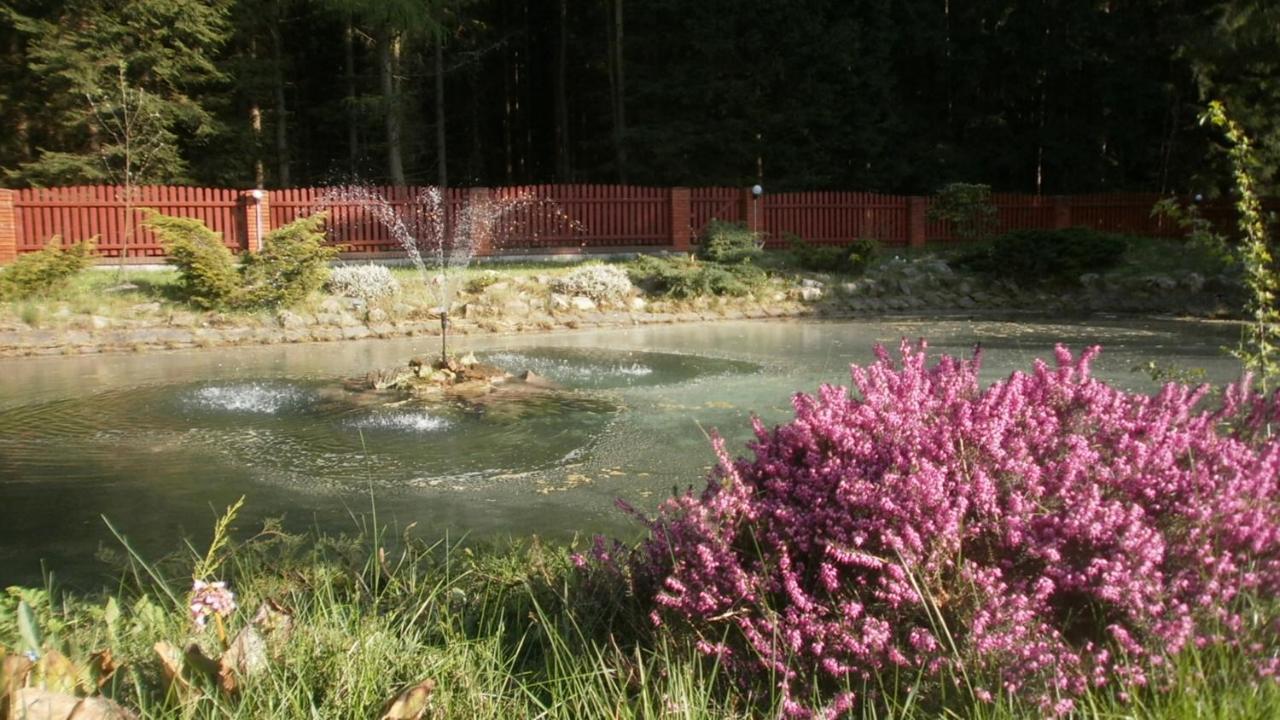 Chełmsko Śląskie Zadrna Rezydencjaアパートホテル エクステリア 写真